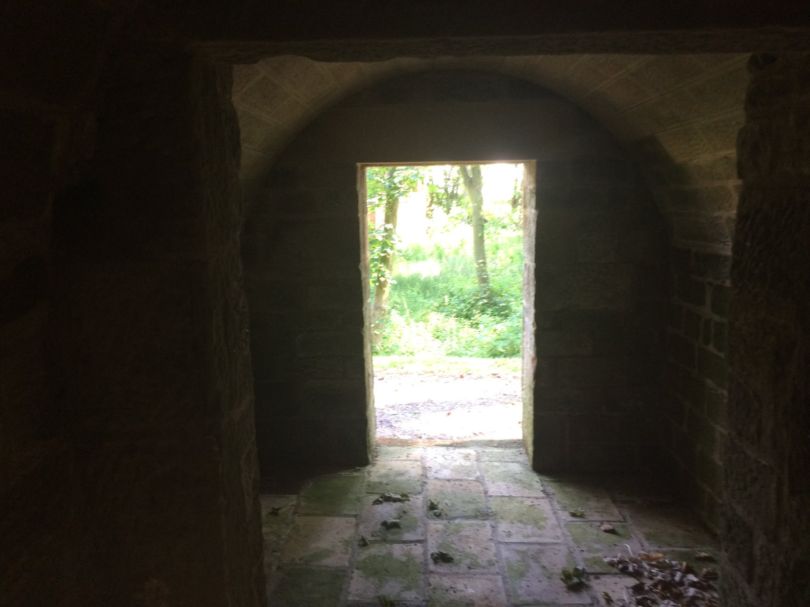 Looking out from the ice house
